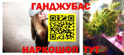 шишки Усть-Джегута