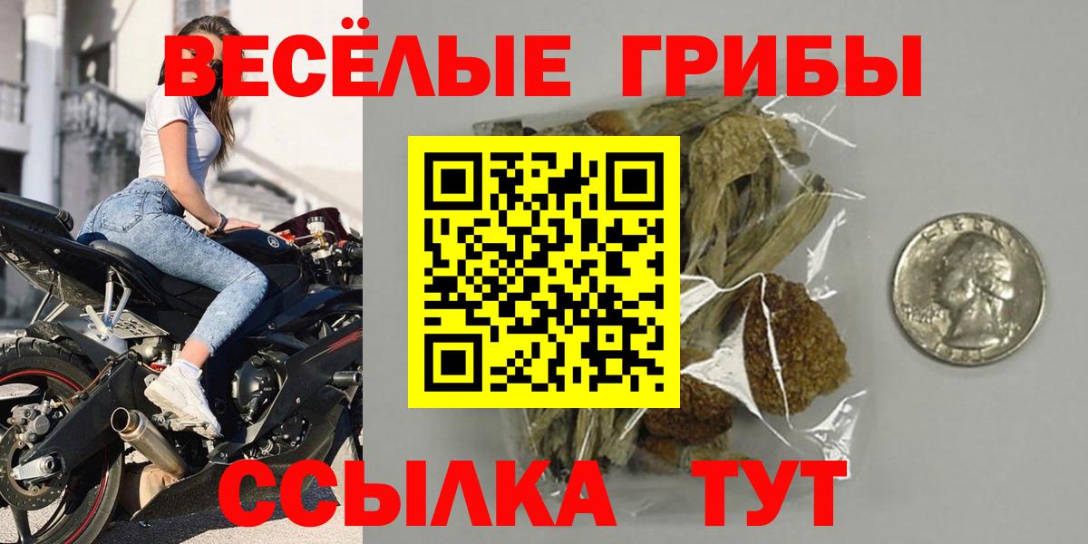 Псилоцибиновые грибы Psilocybine cubensis  Галлюциногенные грибы прущие грибы  Норильск  Вход с VPN 