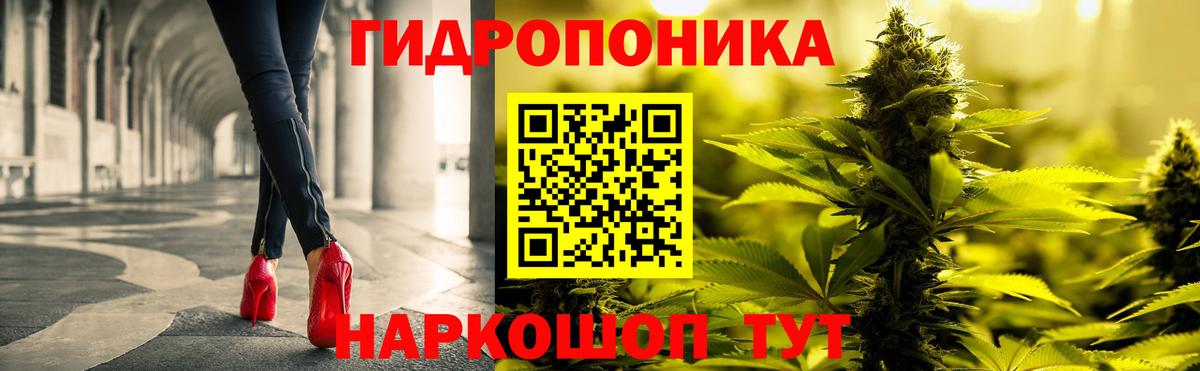 Бошки марихуана сатива Норильск